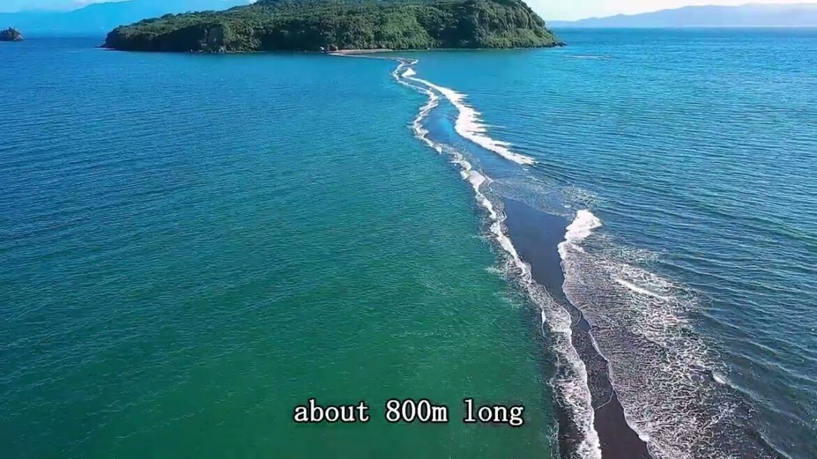 JAPAN TRAVEL～matchmaking spot～Chirin RoadーKagoshima