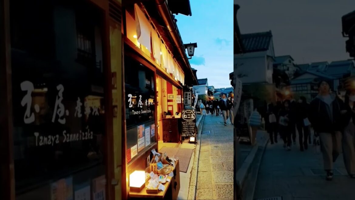 Kyoto city in Japan #shorts #japan #kyoto #city #japantravel #youtubeshorts #foryou #youtube #travel