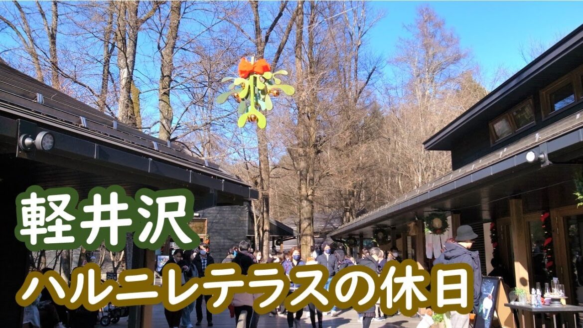 軽井沢 ハルニレテラスで過ごす冬の休日 karuizawa|人生の楽園・長野移住ライフ|vlog 093 軽井沢 ハルニレテラスで過ごす冬の休日 karuizawa|人生の楽園・長野移住ライフ|vlog 093