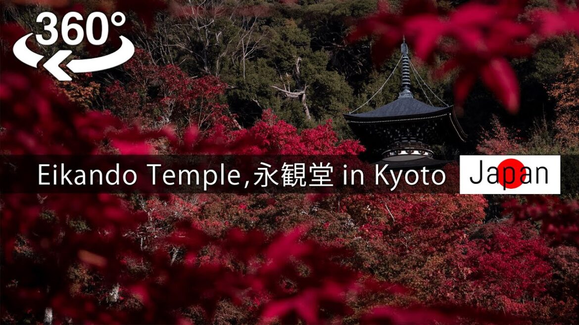 【 Japan-VR 8K video 】Eikando Temple (Zenrin-ji Temple) in autumn【KYOTO】 【 Japan-VR 8K video 】Eikando Temple (Zenrin-ji Temple) in autumn【KYOTO】