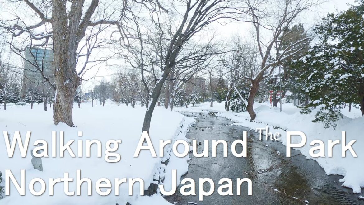 Walking around Nakajima Park -  Sapporo japan