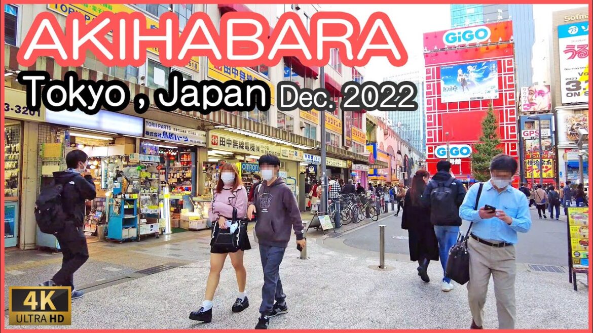 Akihabara walk 4K , Tokyo Japan