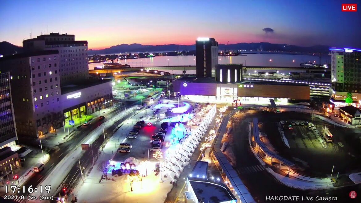 【Clips】夕焼けから夜景までを12倍速でクリップしました♪ 2021.1.24