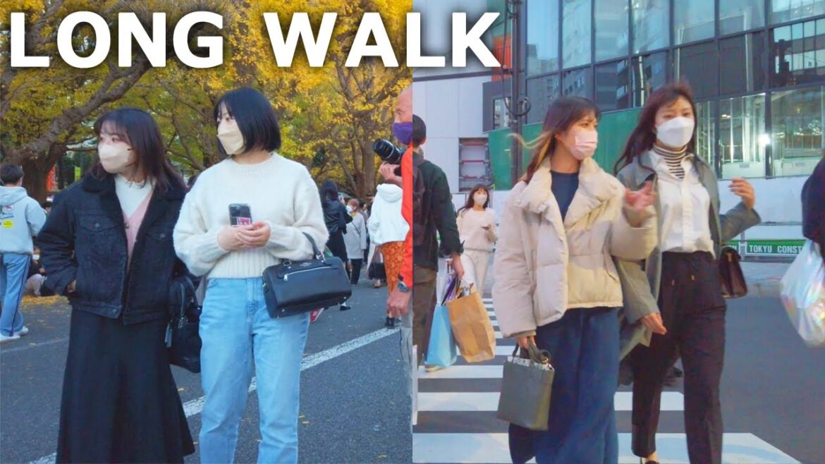 [4k] Tokyo - Walking in Shinjuku and Omotesando. Beautiful yellow ginkgo trees (Nov. 2022)