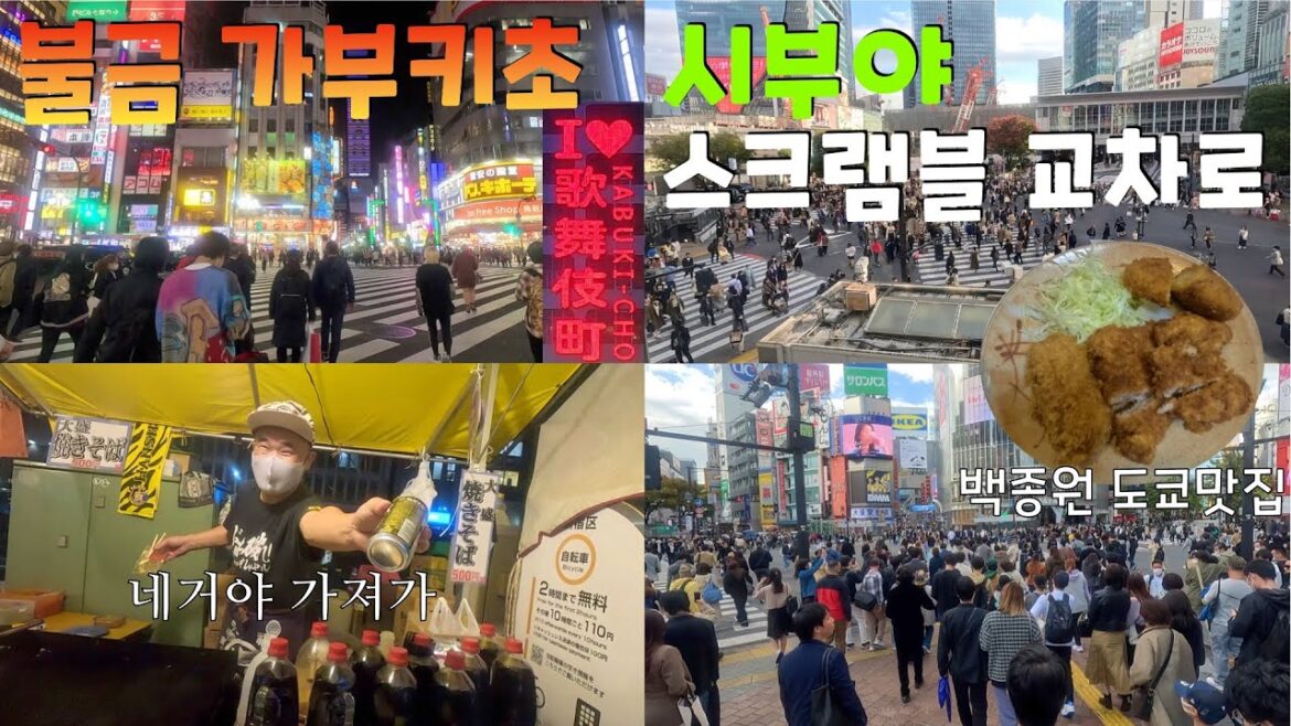 불금 가부키초 & 시부야 스크램블 교차로 [일본기차여행34]