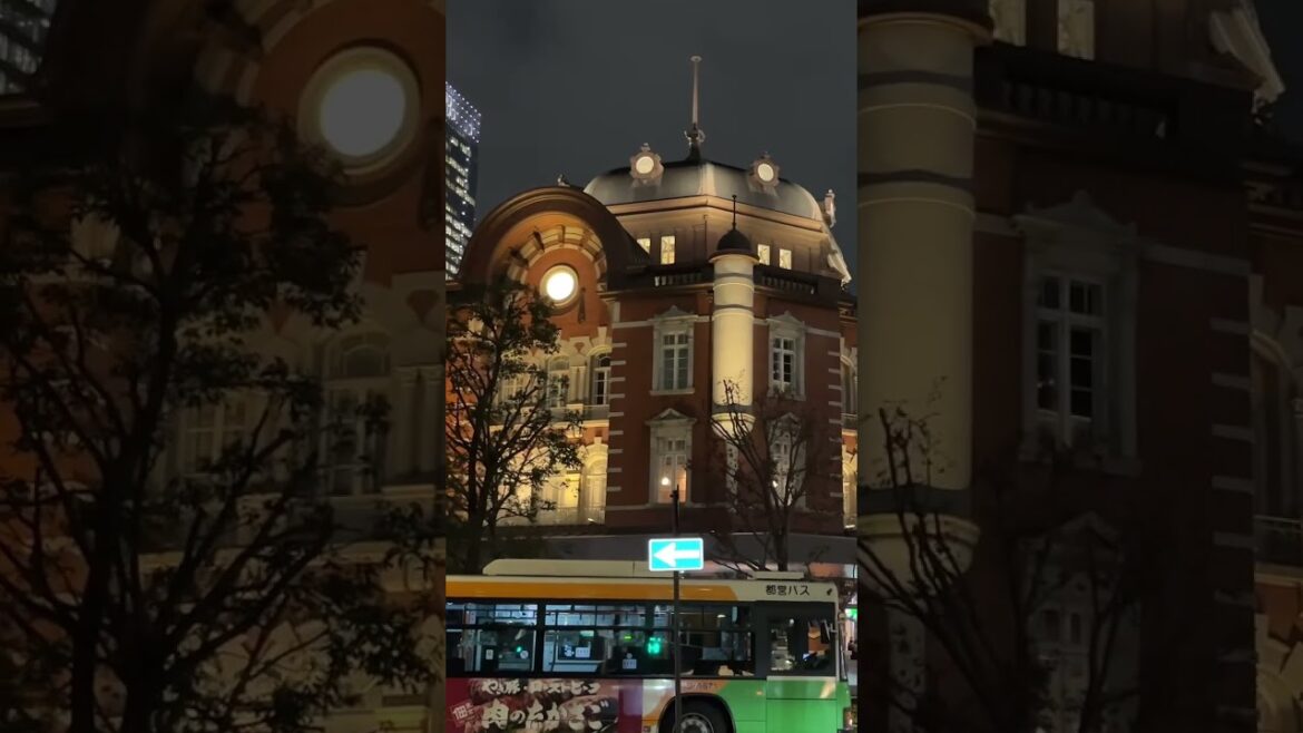 일본 도쿄 여행 / 도쿄역 / Japan Tokyo Travel / Tokyo Station