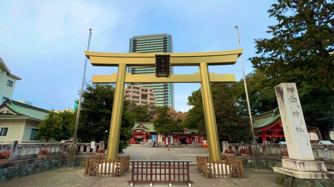 緊急ライブ！この映像を見かけたら今日必ず見ておいて下さい！※とてつもなく臨時収入が入ります※金神社オンライン遠隔参拝