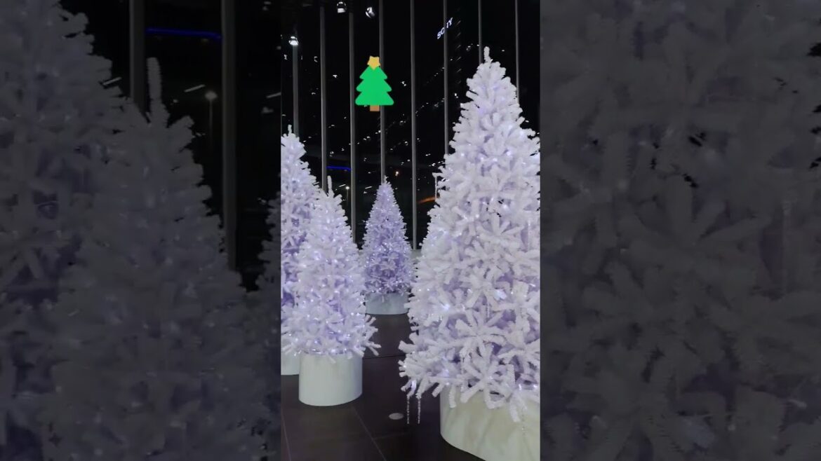 Yokohama NISSAN Showroom 🎄🎄🎄, Christmas illumination,Japan . #japan#nissan#yokohama#christmas