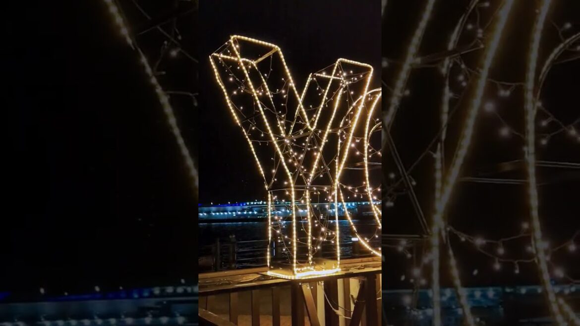 Illumination and Christmas at YOKOHAMA, Japan 🗾. #yokohama#chriatmas#illustration#japan#pixel7pro