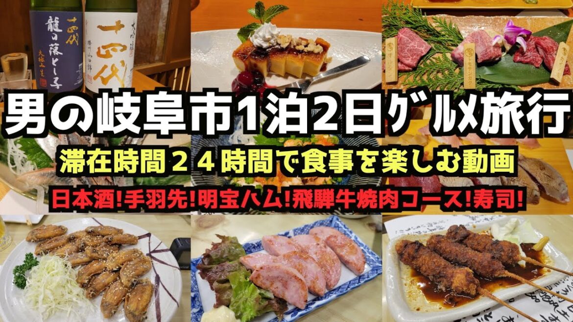 【岐阜グルメ旅行】男の岐阜市1泊2日グルメ旅行　#飛騨牛  #岐阜旅行  #岐阜市