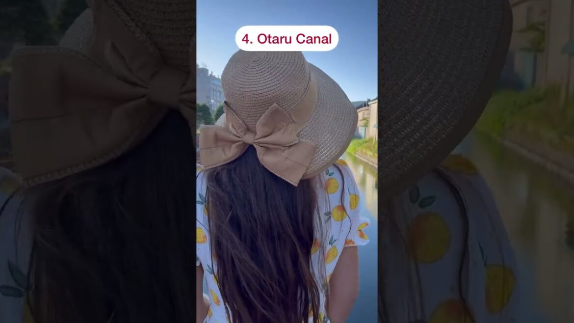 8 Places that you must see in Hokkaido’summer!! 夏の北海道おすすめ8カ所!#hokkaido #travelhokkaido 8 Places that you must see in Hokkaido’summer!! 夏の北海道おすすめ8カ所!#hokkaido #travelhokkaido