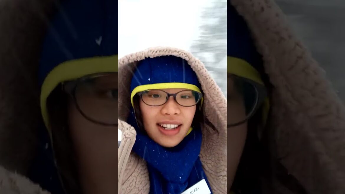 Snow Mountain in Japan #Hakuba #Nagano #Short #Shorts