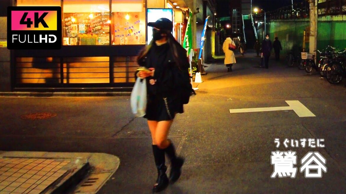 【4K】寒い夜の鶯谷ラブホ街を散歩 | Night walk in the Uguisudani love hotel district. (Dec. 2022)