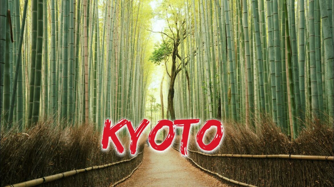 kyoto vlog | Arashiyama Bamboo forest | Cinematic shot | Iphone 14 ProMax | 2022
