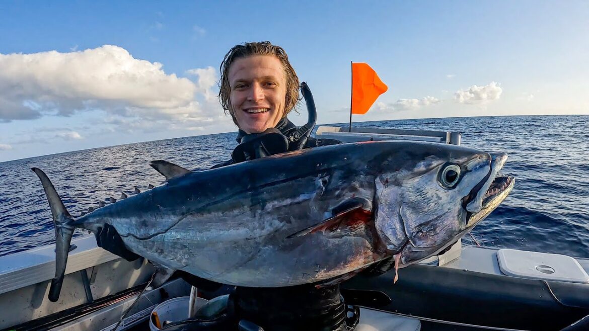 Bluewater Spearfishing DOGTOOTH TUNA | Continental Shelf In A 5.5m Trailer Boat