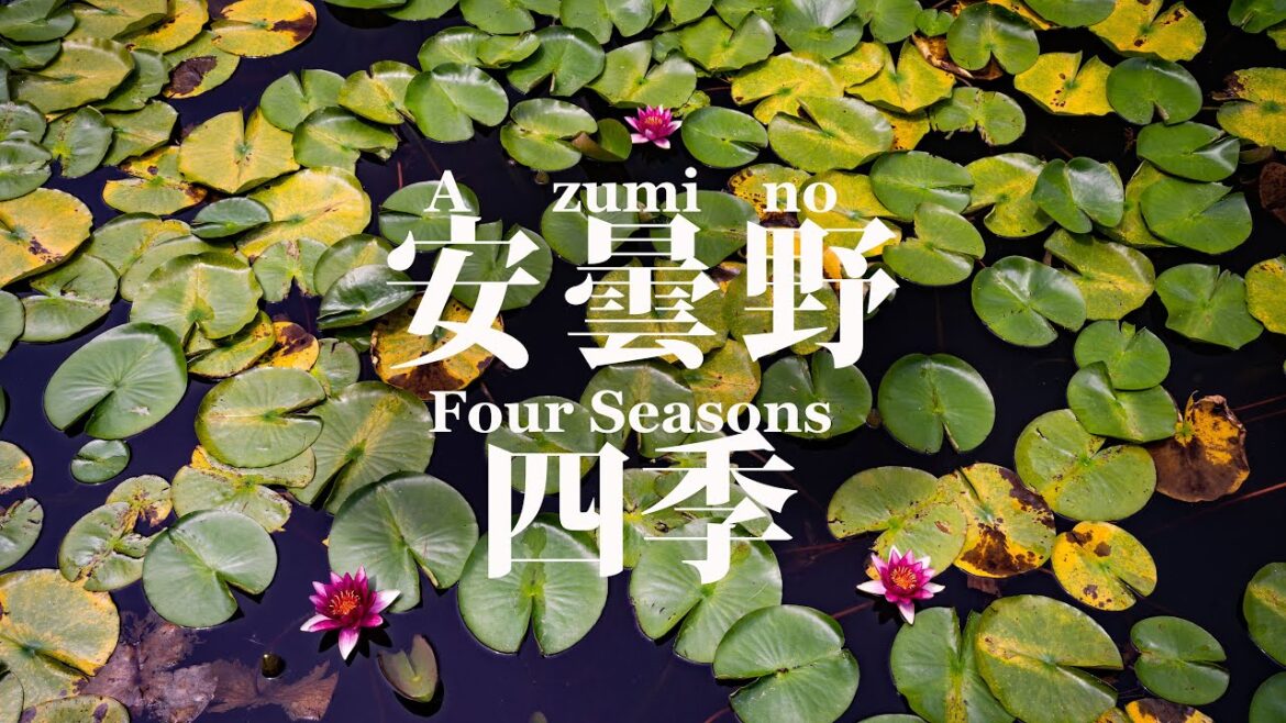 Four Seasons of Azumino | 安曇野の四季