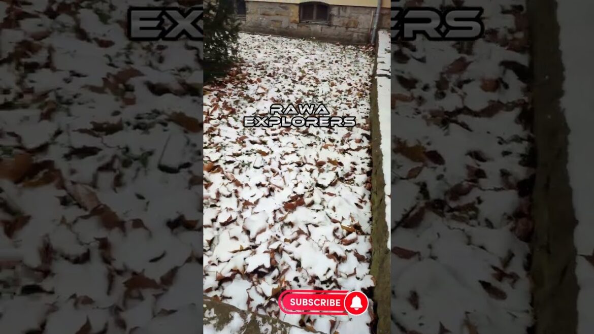 ☃️Snowfall | Winter life in Germany❤️❄️☃️ #würzburg  #winter #snow