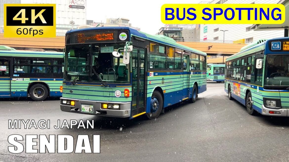 【Bus Spotting】Japan: Sendai Station, Miyagi [4K]