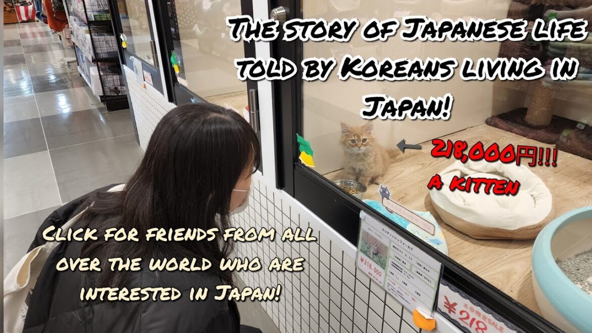 Various news about Japan from Koreans living in Japan! Various news about Japan from Koreans living in Japan!