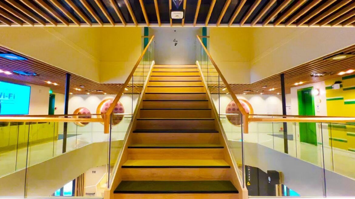 Japan's Newest Ferry 😆🛳 5 Hours Voyage in Balcony Private Room