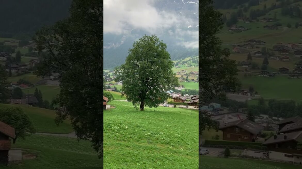 Grindelwald: Switzerland’s Most Beautiful Village #shorts