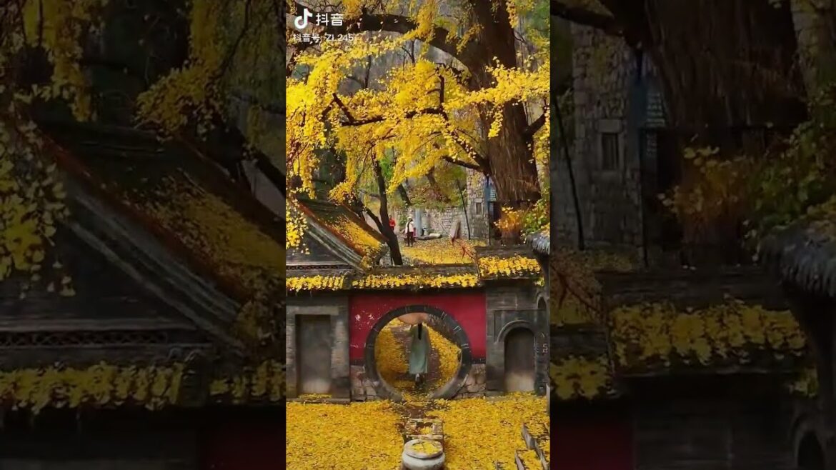 Japan travel vlog π‘/ beutiful city of japan ποΈ/ #shorts #vlog #travelvlog Japan travel vlog π‘/ beutiful city of japan ποΈ/ #shorts #vlog #travelvlog