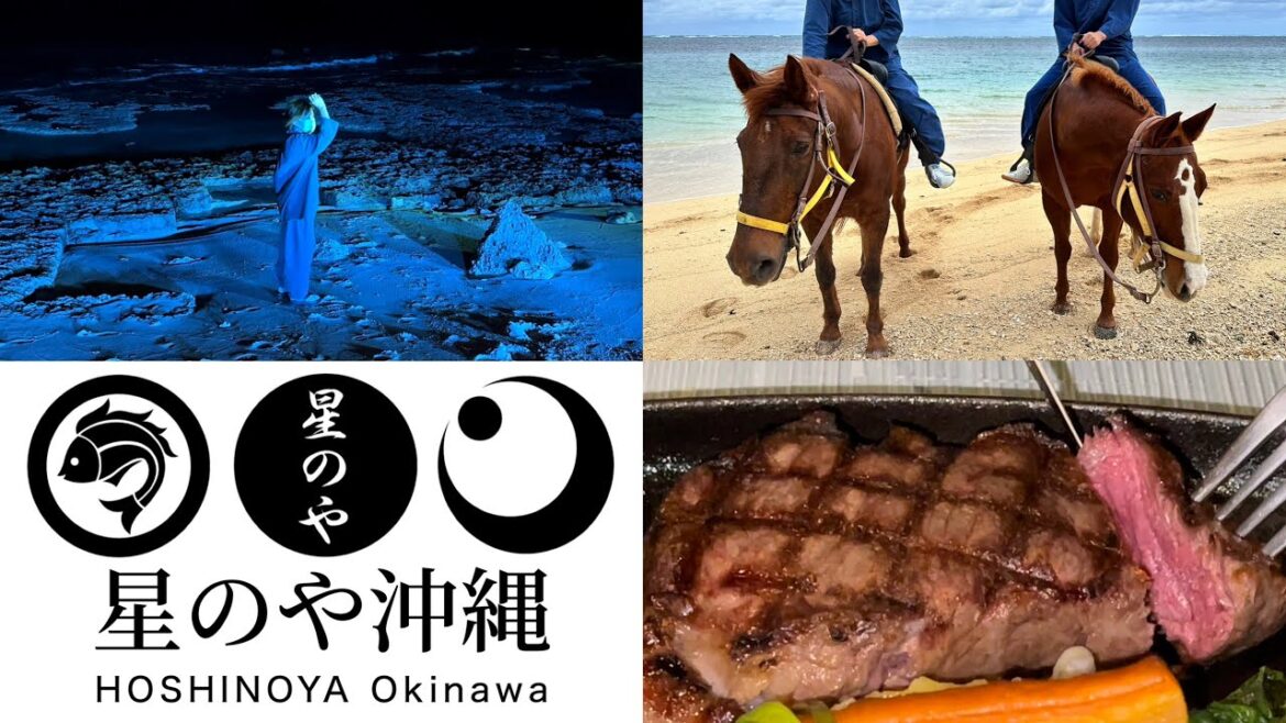 【星のや沖縄】冬の沖縄を楽しむ