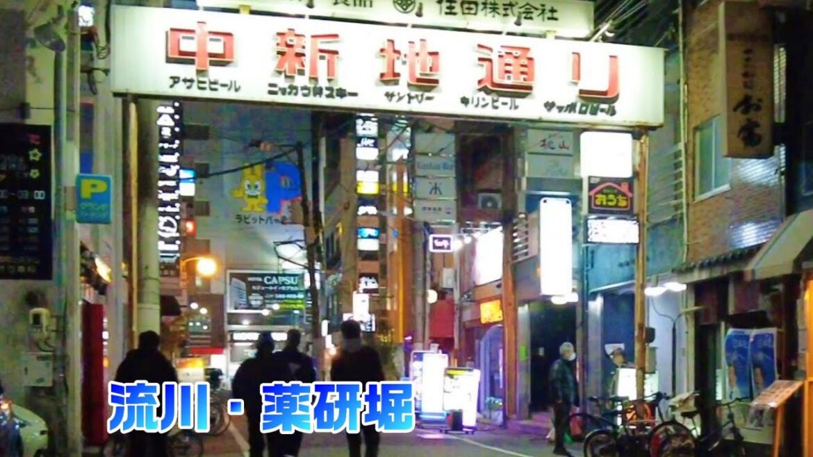 【4K JAPAN Walk】Hiroshima Walk　広島流川・薬研堀を散歩します　【広島散歩】2022/12/12