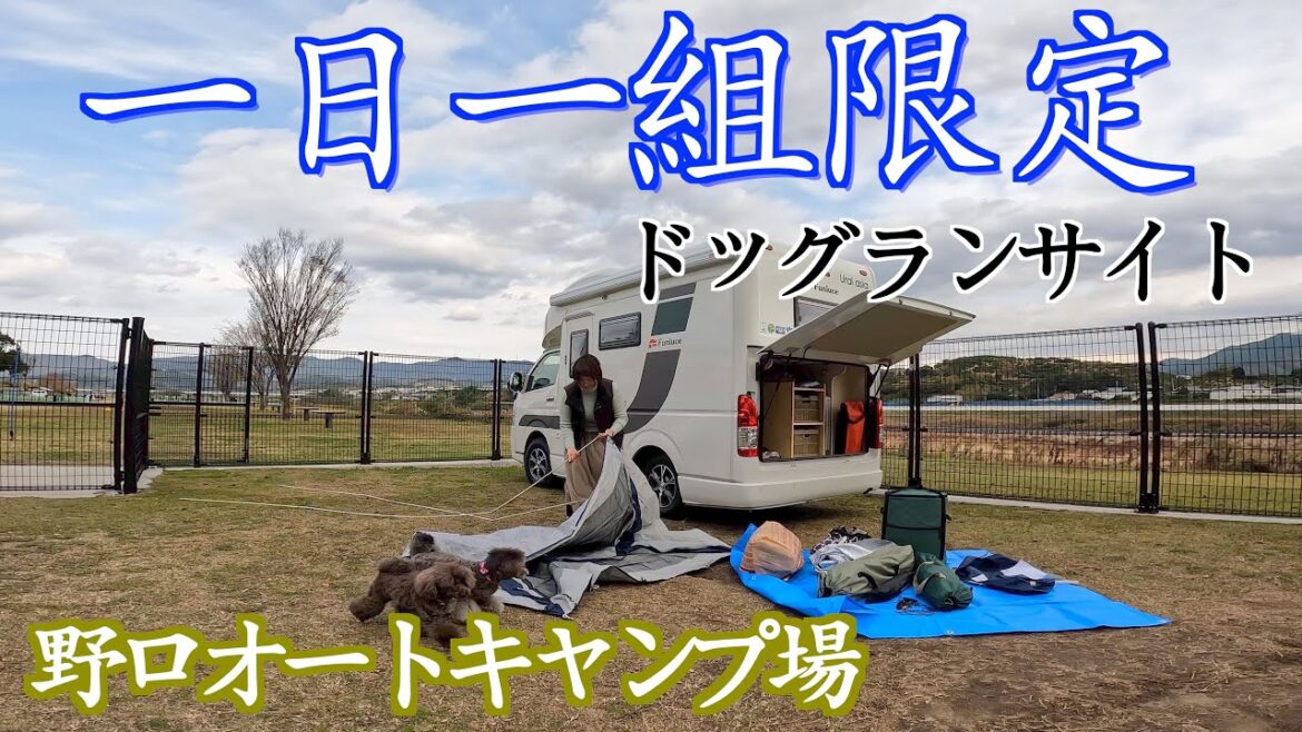 車中泊【野口オートキャンプ場】ドッグランサイト（1日1組限定）で車中泊キャンプ。車内で一人晩酌は最高すぎ！和歌山県の野口オートキャンプ場は広々してました。