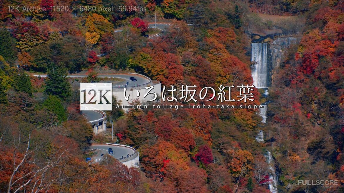 [12K footage] The best autumn foliage Iroha- zaka slope【日光 いろは坂の紅葉_12K】