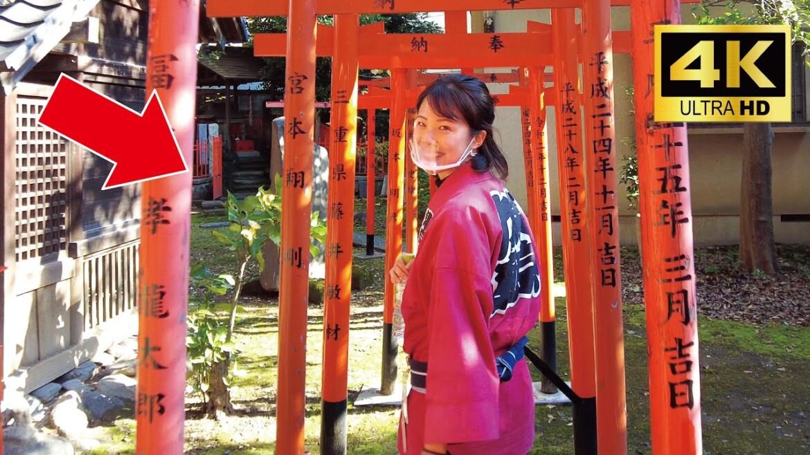 A cute Japanese girl Misa-chan guided me around Asakusa by rickshaw😊 @JapanesegirlMisa A cute Japanese girl Misa-chan guided me around Asakusa by rickshaw😊 @Japanese_girl_Misa 