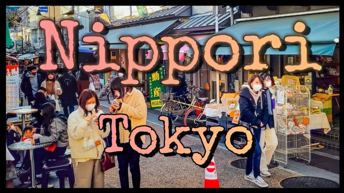 【4K】Japan Walk - Tokyo ,Yanaka Ginza: Tokyo’s Best Old-Fashioned Shopping Street,#谷中銀座#Nippori #日暮里