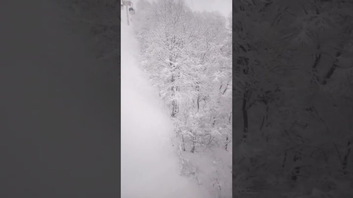 Up the Gondola at a Snow Mountain in Japan #Hakuba #Nagano