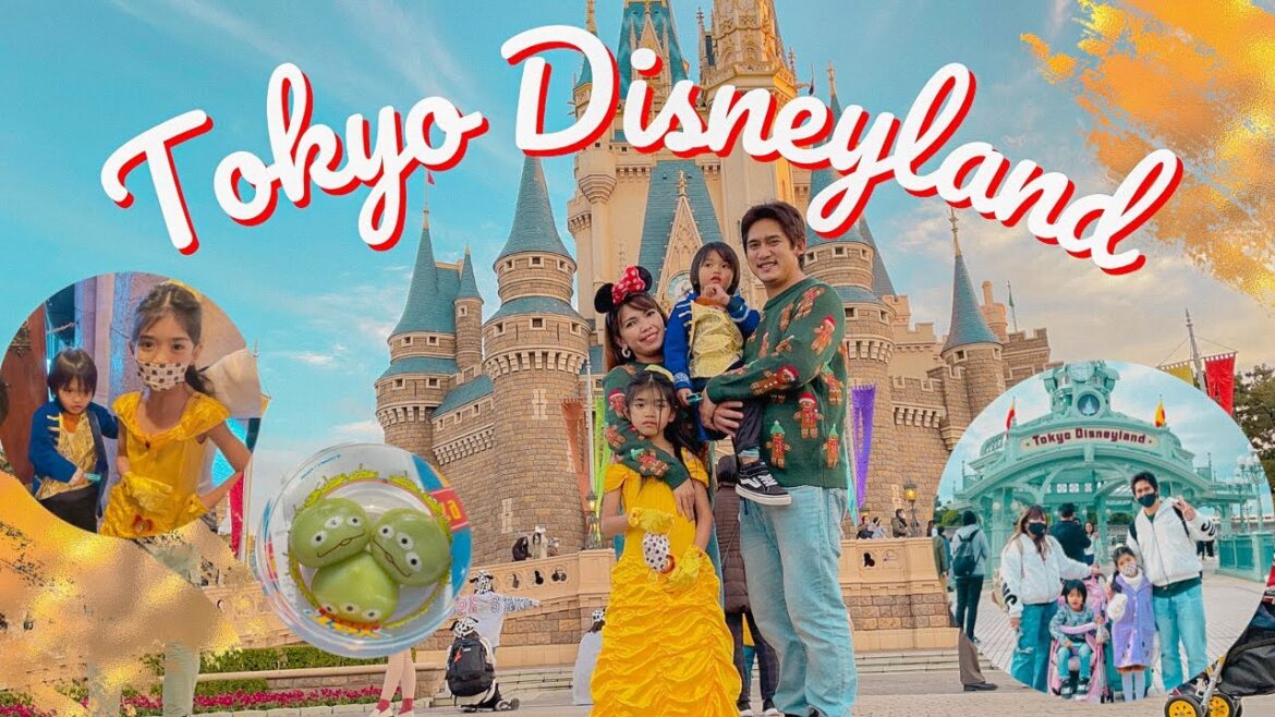 Christmas Season at Tokyo Disneyland |Japan