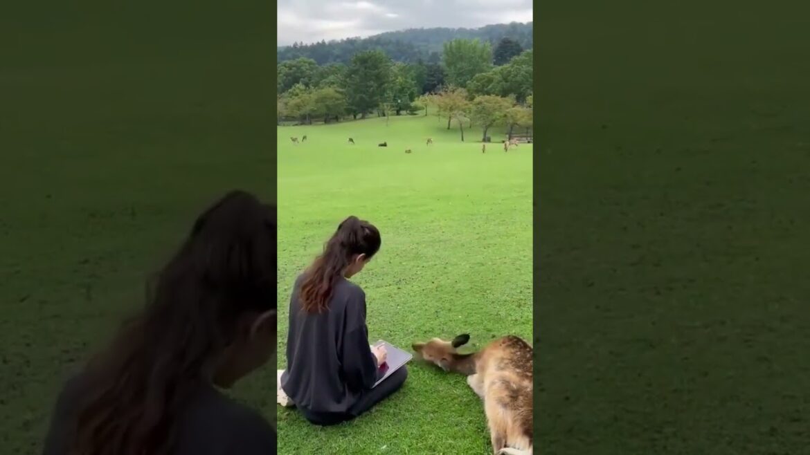 Trending song - Alo Alo - Nature shorts - Japan tour #shorts #traveling #trending