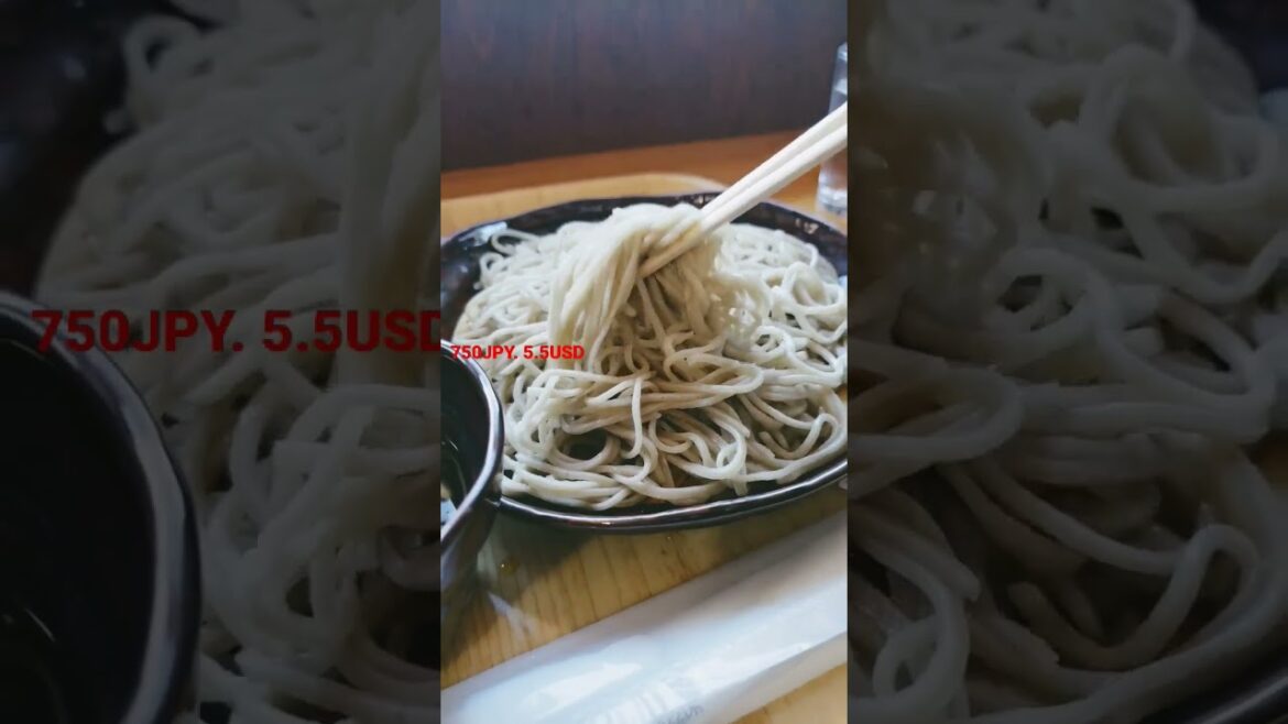 Japanese soba Nagano JAPAN 長野県 道の駅 今井食堂 そば