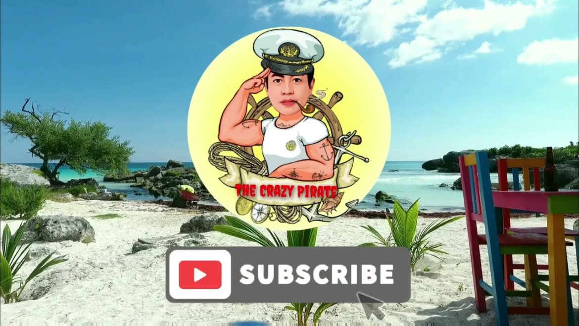 Crazy Pirate Goes To Japan Part.1/"The Arrival" #tour #travel #japan #japantravel #adventure #viral