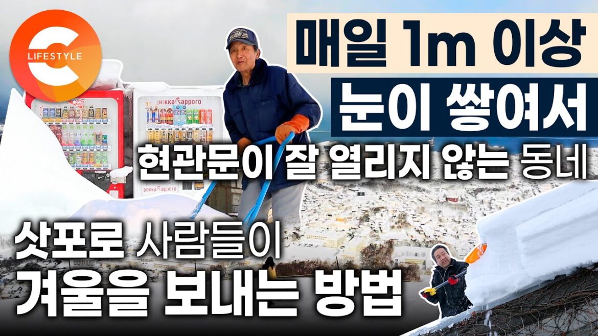 '하루 1m 이상 눈이 내려서 현관문이 안 열려요☃️' 설국의 도시 '삿포로' 사람들이 극한 겨울을 보내는 법ㅣ러브레터 촬영지💌ㅣ홋카이도 여행 '하루 1m 이상 눈이 내려서 현관문이 안 열려요☃️' 설국의 도시 '삿포로' 사람들이 극한 겨울을 보내는 법ㅣ러브레터 촬영지💌ㅣ홋카이도 여행