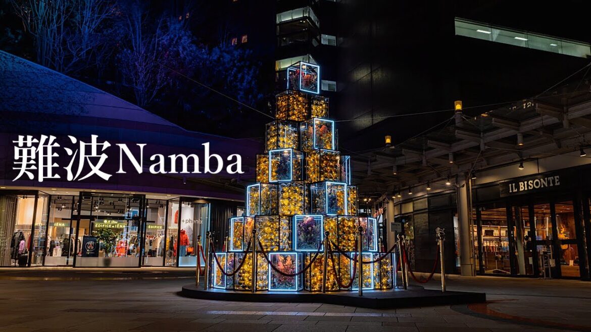 難波イルミネーション なんば光旅 2022 Osaka Night Walk – Namba Illuminations 4K HDR Japan 難波イルミネーション なんば光旅 2022 Osaka Night Walk - Namba Illuminations 4K HDR Japan