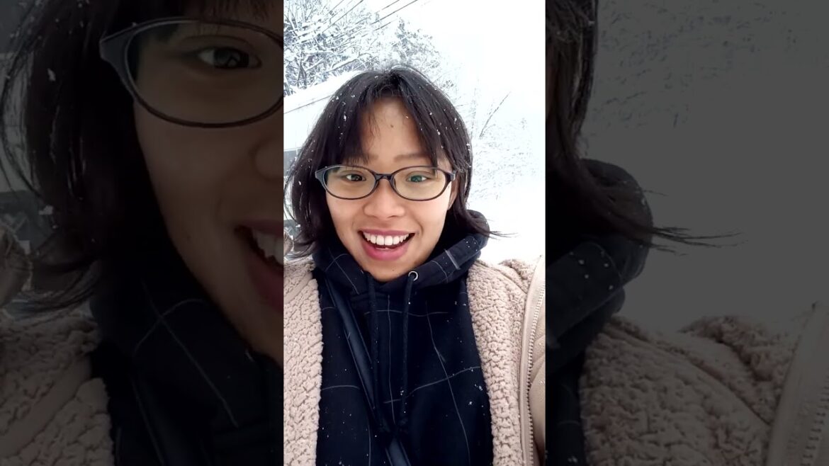 Snow Mountain in Japan #Hakuba #Nagano #Short #Shorts