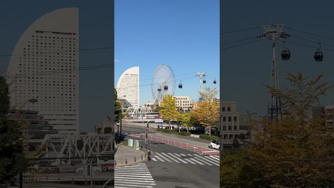 일본 도쿄 여행 / 요코하마 사쿠라기초 / Japan Tokyo Travel / Yokohama Sakuragicho