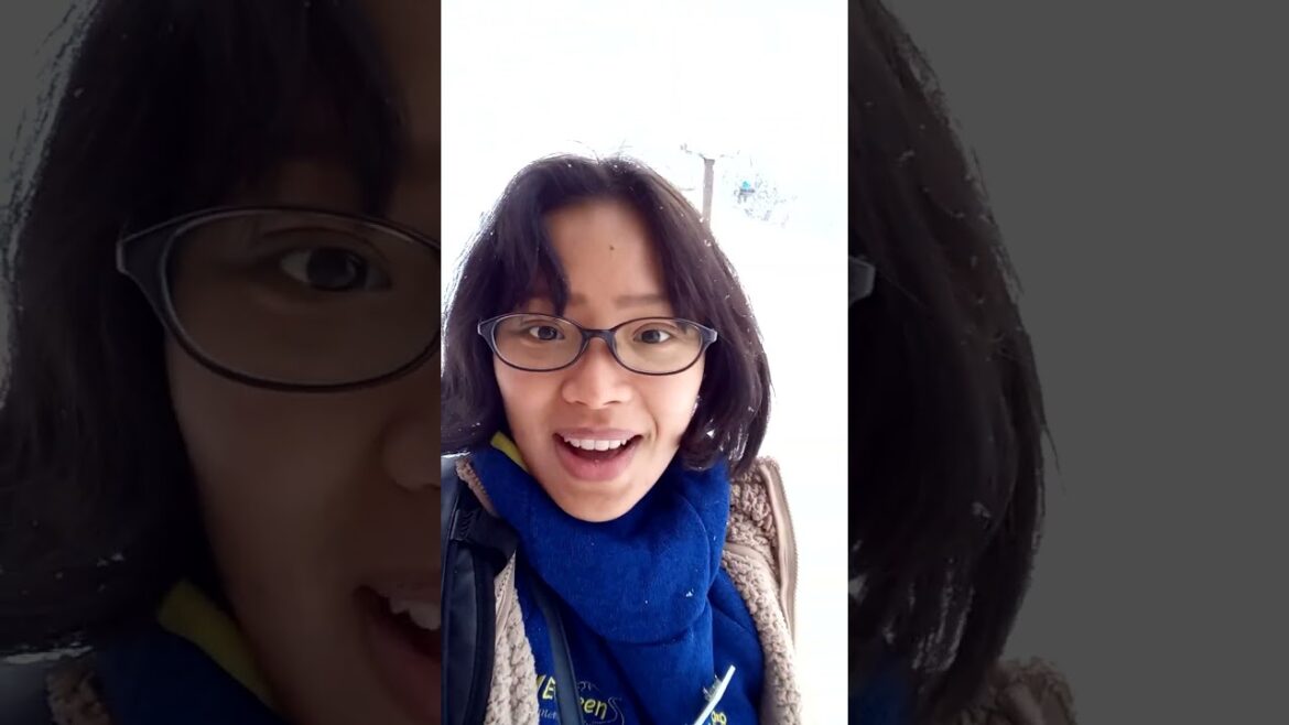 Snow Mountain in Japan #Hakuba #Nagano #Short #Shorts