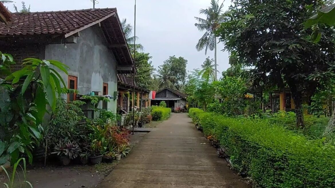 Indonesia Walk - Javanese Countryside Village | Yogyakarta City Environmental Walking Tour