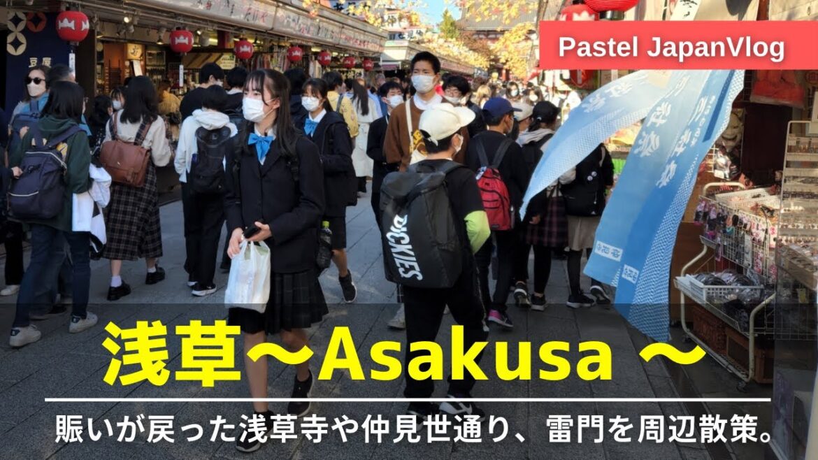 【浅草観光】東京を代表する観光地。浅草寺から仲見世通り、雷門を徹底散策👢Asakusa sightseeing👢 【浅草観光】東京を代表する観光地。浅草寺から仲見世通り、雷門を徹底散策👢Asakusa sightseeing👢
