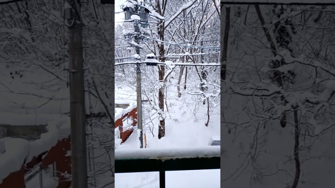 Snow Mountain in Japan #Hakuba #Nagano #Short #Shorts