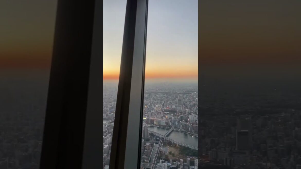 Sunset view from Skytree Tokyo 🇯🇵 #skytree #tokyo #mountfuji #sunset #2022