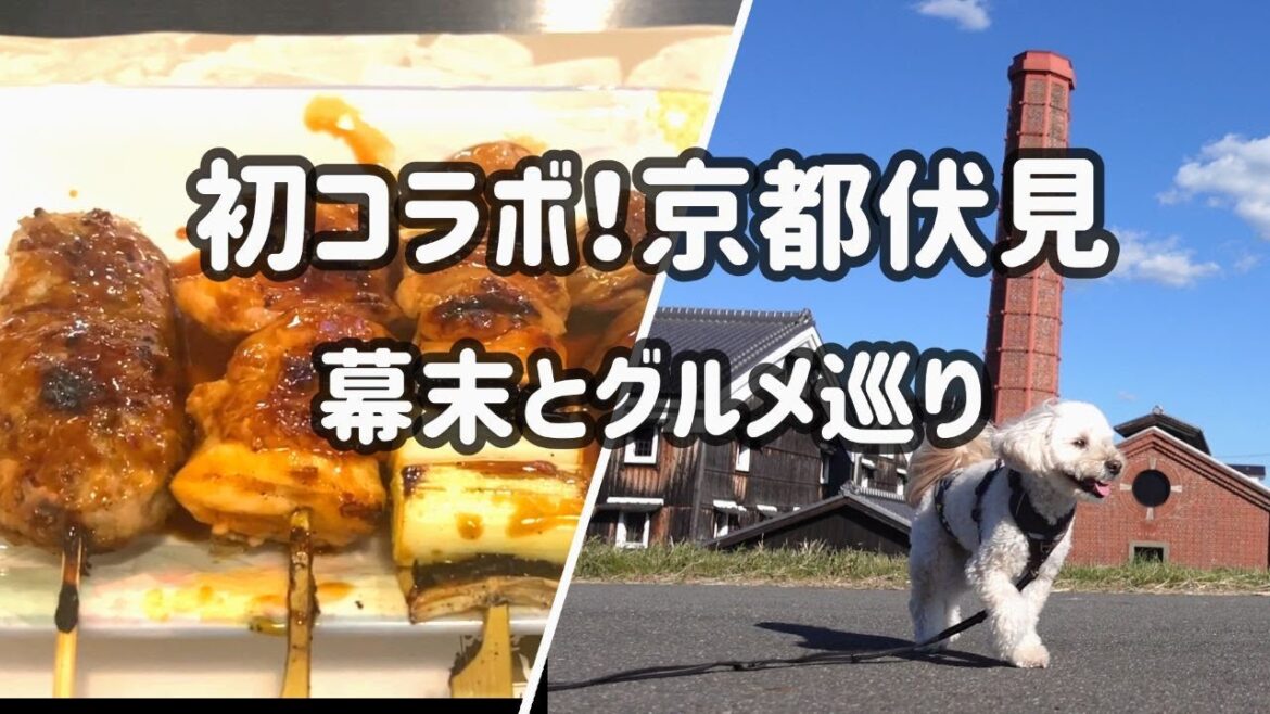 SUB/MAP  コラボで紹介、京都伏見巡り5選🐕 幕末とグルメと酒造の街を歩く🍶鳥せい / 杉玉 / 家守堂 / 幕末史跡巡り / 商店街巡り　#京都観光  #伏見桃山 #京都vlog