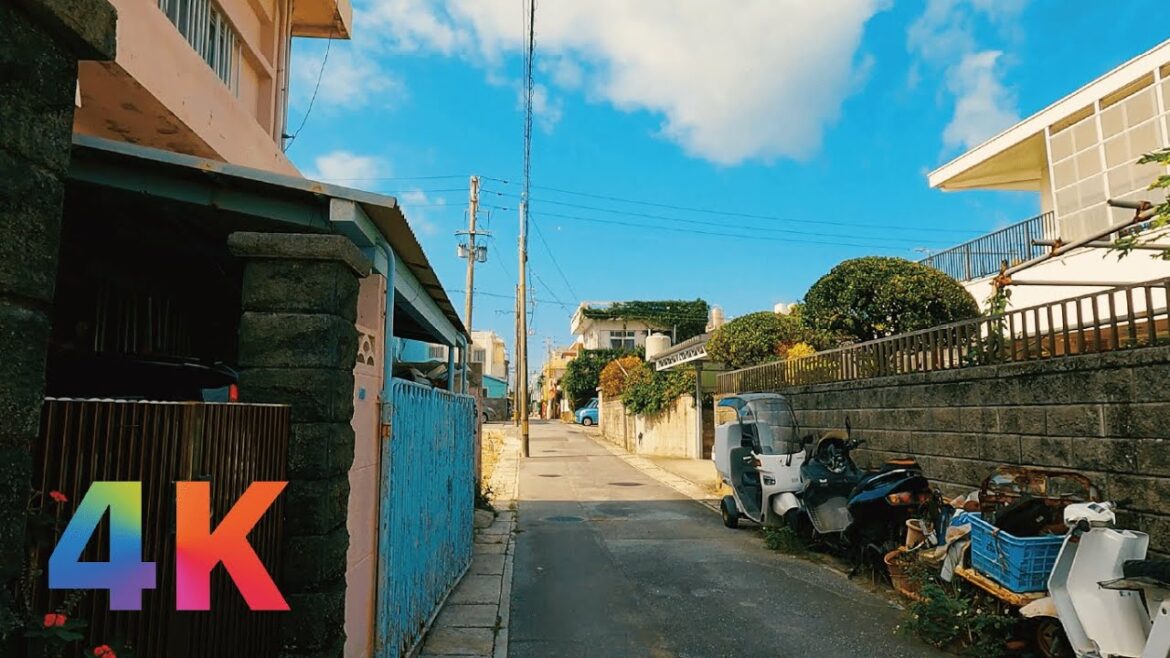 4K HDR 24fps | Okinawa, A quiet walk in a rural village