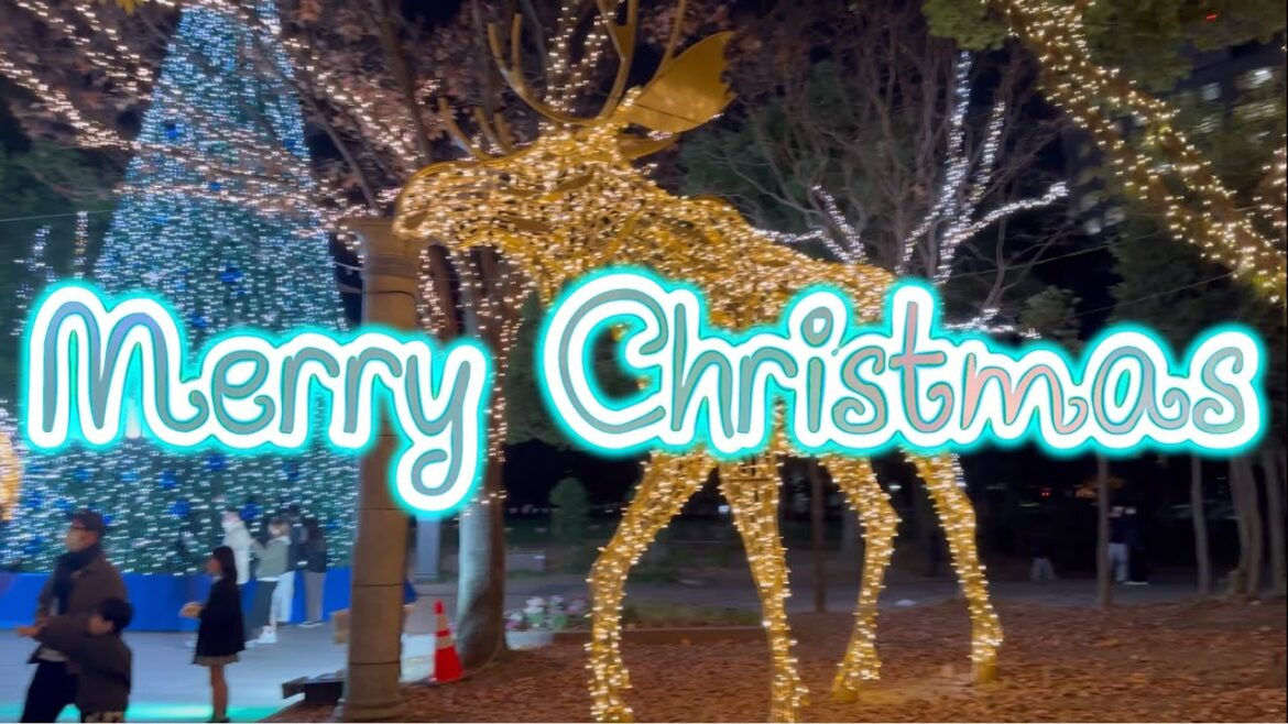 クリスマス イルミネーション Christmas Lights 天神中央公園 アクロス福岡  Fukuoka Japan