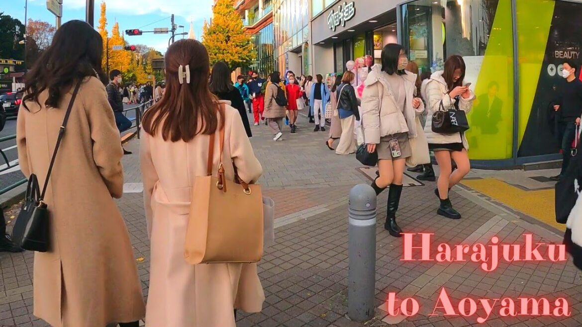 Harajuku to Aoyama Tokyo, in Japan walking tour.【4K】12.2022 Harajuku to Aoyama Tokyo, in Japan walking tour.【4K】12.2022